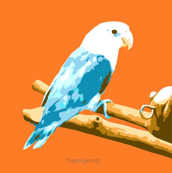 Beautiful Love Bird Vector PNG bird,beautiful,love,relationship,vector,png,transparent